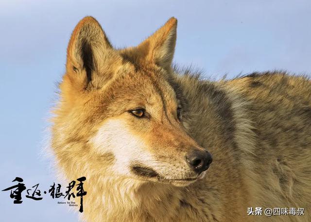 _时隔9年，这部神作为什么还能看哭无数人？_时隔9年，这部神作为什么还能看哭无数人？