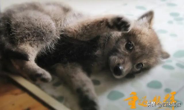 _时隔9年，这部神作为什么还能看哭无数人？_时隔9年，这部神作为什么还能看哭无数人？