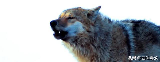 时隔9年，这部神作为什么还能看哭无数人？_时隔9年，这部神作为什么还能看哭无数人？_