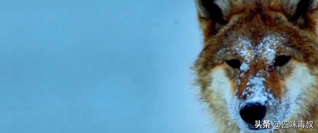 时隔9年，这部神作为什么还能看哭无数人？_时隔9年，这部神作为什么还能看哭无数人？_