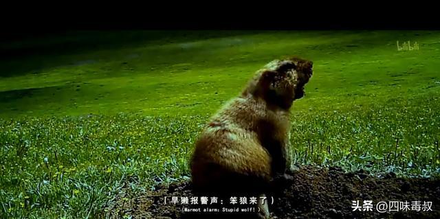 _时隔9年，这部神作为什么还能看哭无数人？_时隔9年，这部神作为什么还能看哭无数人？