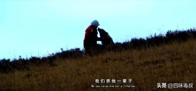 时隔9年，这部神作为什么还能看哭无数人？_时隔9年，这部神作为什么还能看哭无数人？_