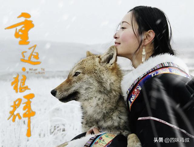 _时隔9年，这部神作为什么还能看哭无数人？_时隔9年，这部神作为什么还能看哭无数人？