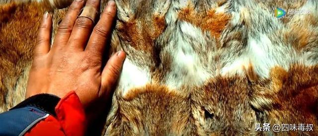 时隔9年，这部神作为什么还能看哭无数人？_时隔9年，这部神作为什么还能看哭无数人？_