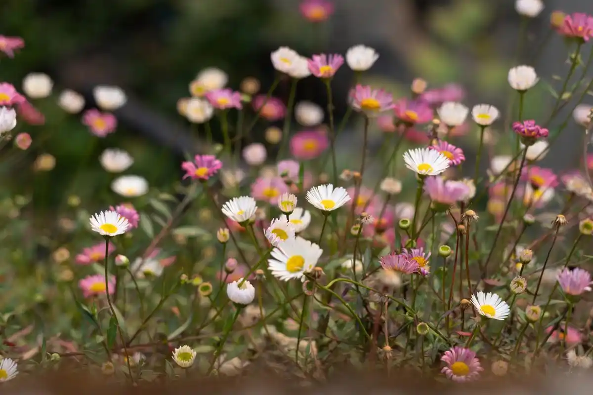 我的快乐就是想你mp3下__高晓峰晴天