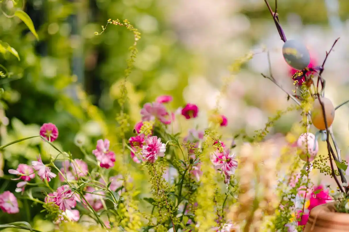 我的快乐就是想你mp3下__高晓峰晴天