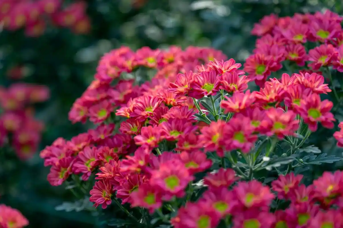 _我的快乐就是想你mp3下_高晓峰晴天