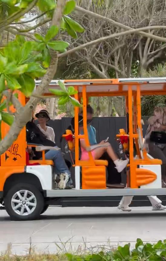 携此手牵彼心菡萏花开__菡萏花开携此手牵彼心