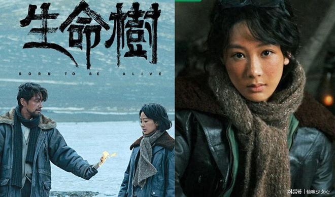 《生命树》杨紫女警对决盗猎，胡歌神秘失踪引悬念_《生命树》杨紫女警对决盗猎，胡歌神秘失踪引悬念_