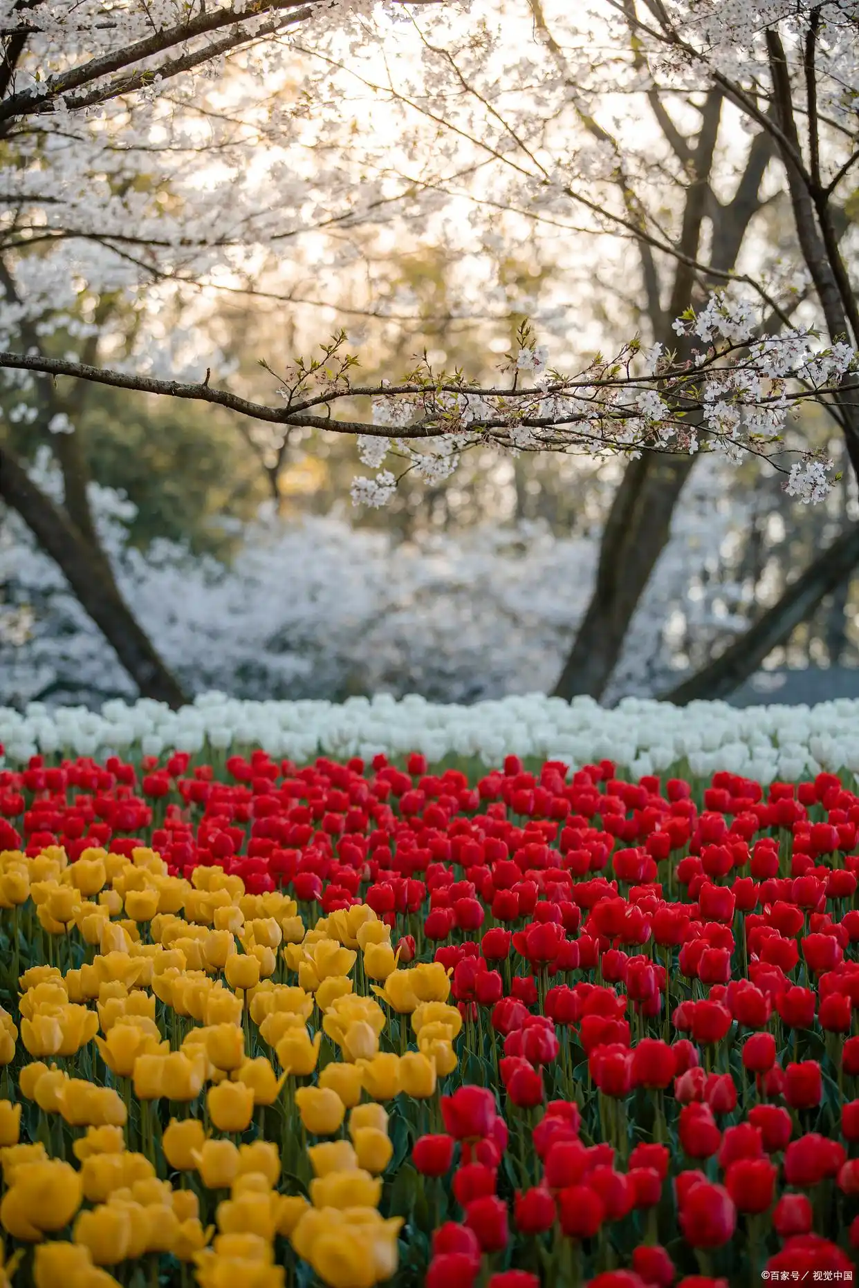 想你夕一世一朝念一生歌词__念你一生一世诗词