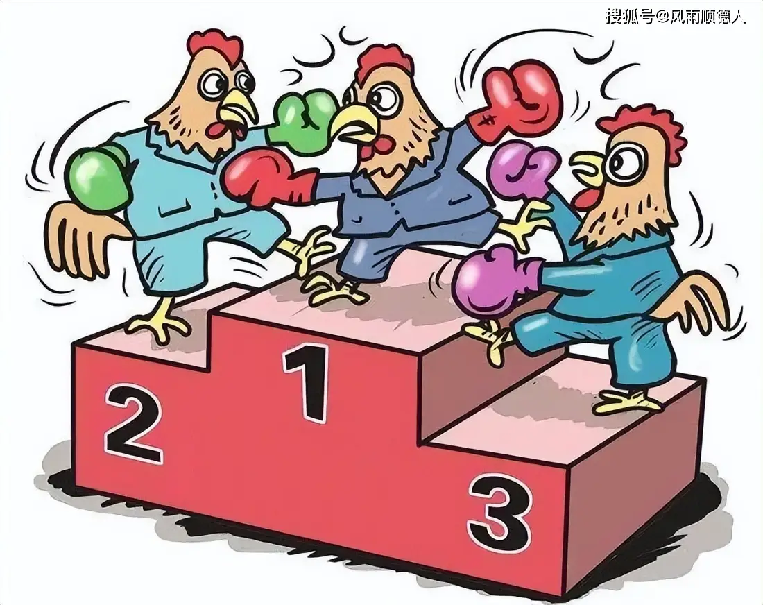 净值型理财产品信息披露_净值型理财营销指引_