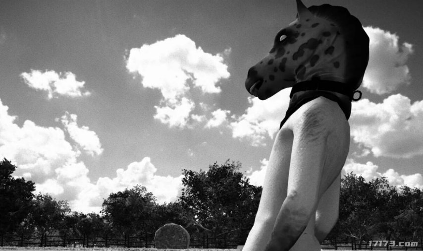 如何解读马盘__马年百科