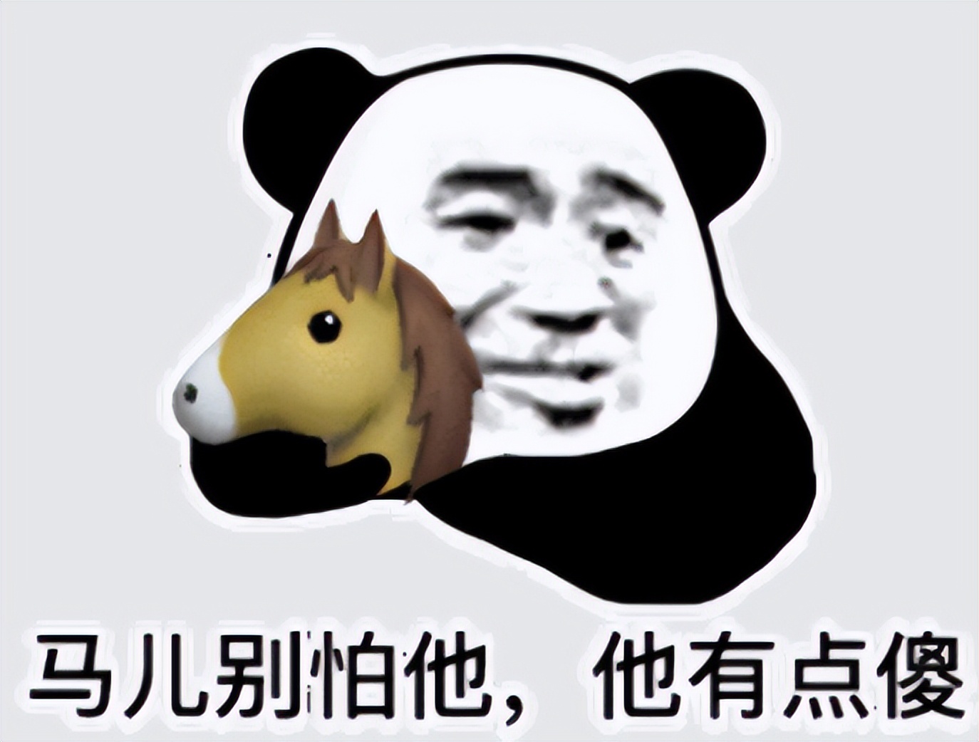 马年百科_如何解读马盘_