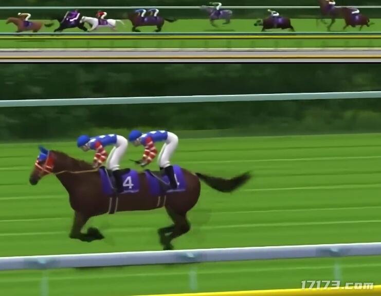 如何解读马盘_马年百科_