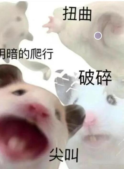 马年百科__如何解读马盘