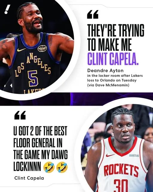 状元郎高效__状元郎啥意思