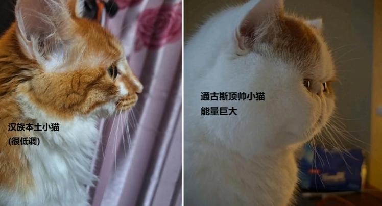 文学研究边缘地域到中心地域_地质山根说_