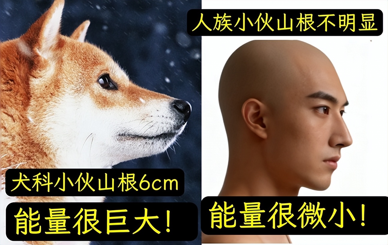 地质山根说__文学研究边缘地域到中心地域