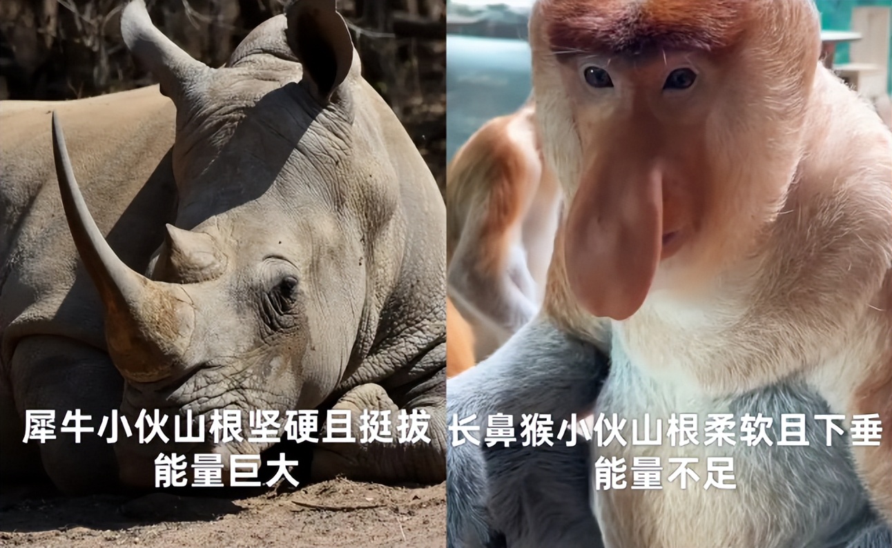 _文学研究边缘地域到中心地域_地质山根说