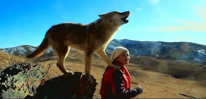 李晨把范冰冰惹哭视频_黄渤惹哭林志玲完整版_