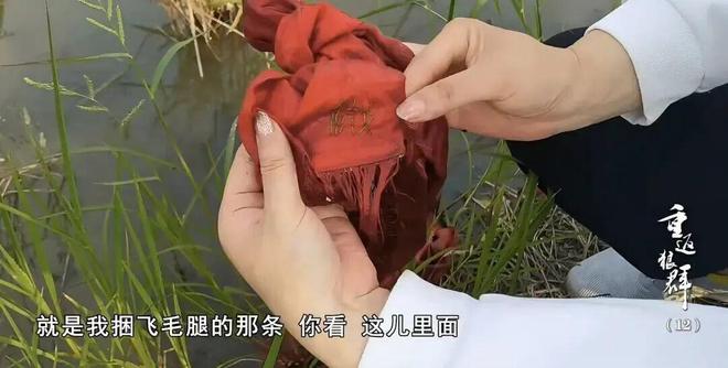 李晨把范冰冰惹哭视频_黄渤惹哭林志玲完整版_