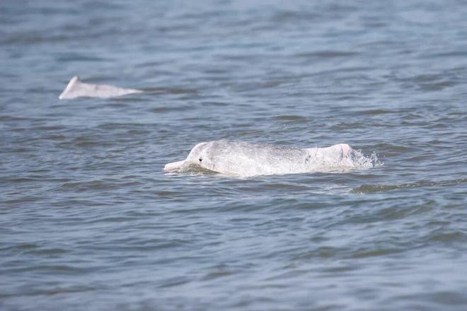 李晨把范冰冰惹哭视频__黄渤惹哭林志玲完整版