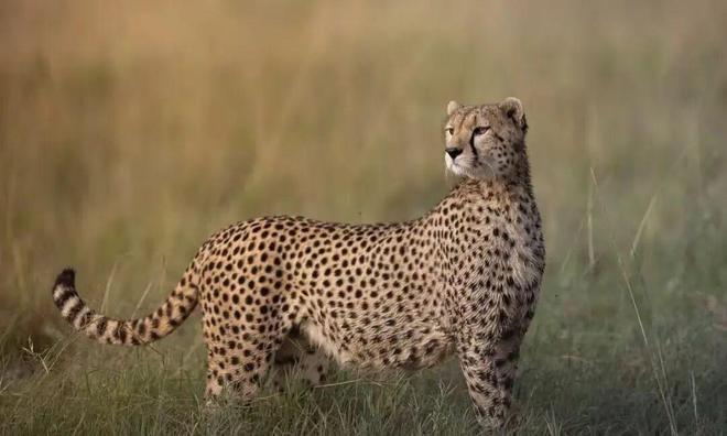 李晨把范冰冰惹哭视频_黄渤惹哭林志玲完整版_