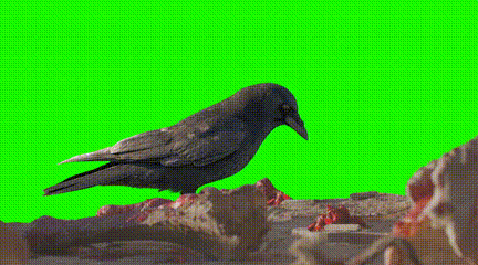 _影视广告的创作流程_太平电影的主题曲是什么