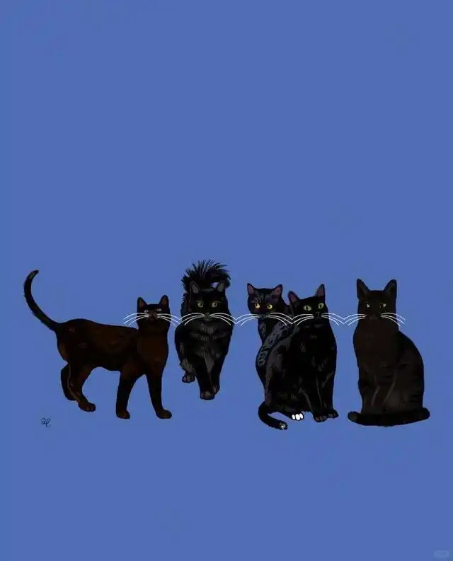 _俩个人纠缠什么意思_两个人纠缠是命中注定吗