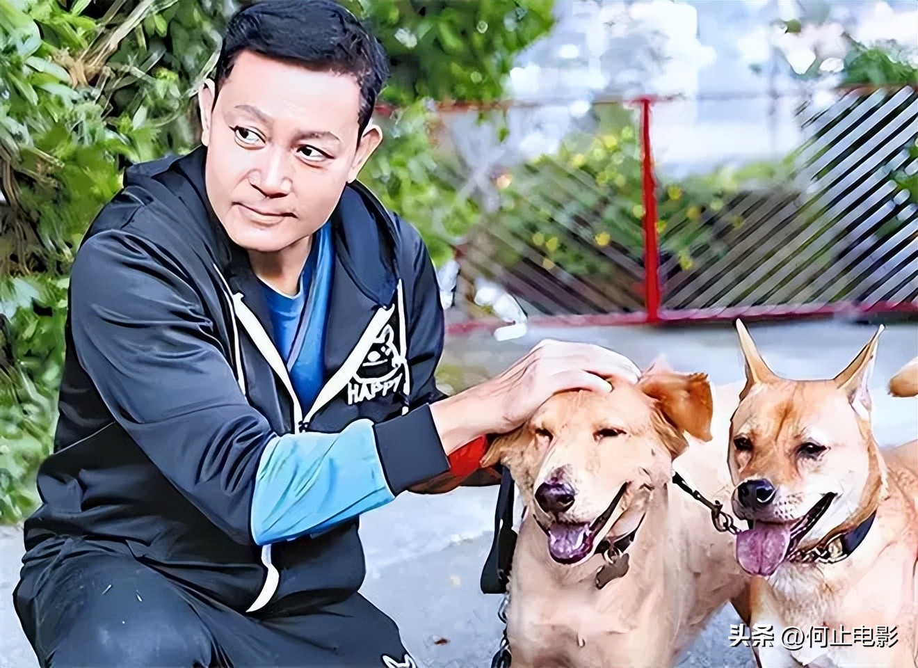 古天乐遗嘱__古天乐继承人