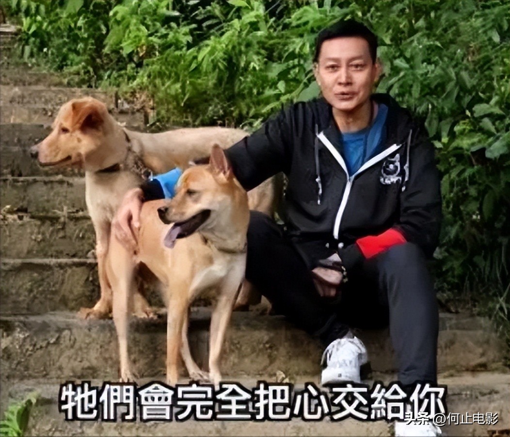 古天乐遗嘱__古天乐继承人