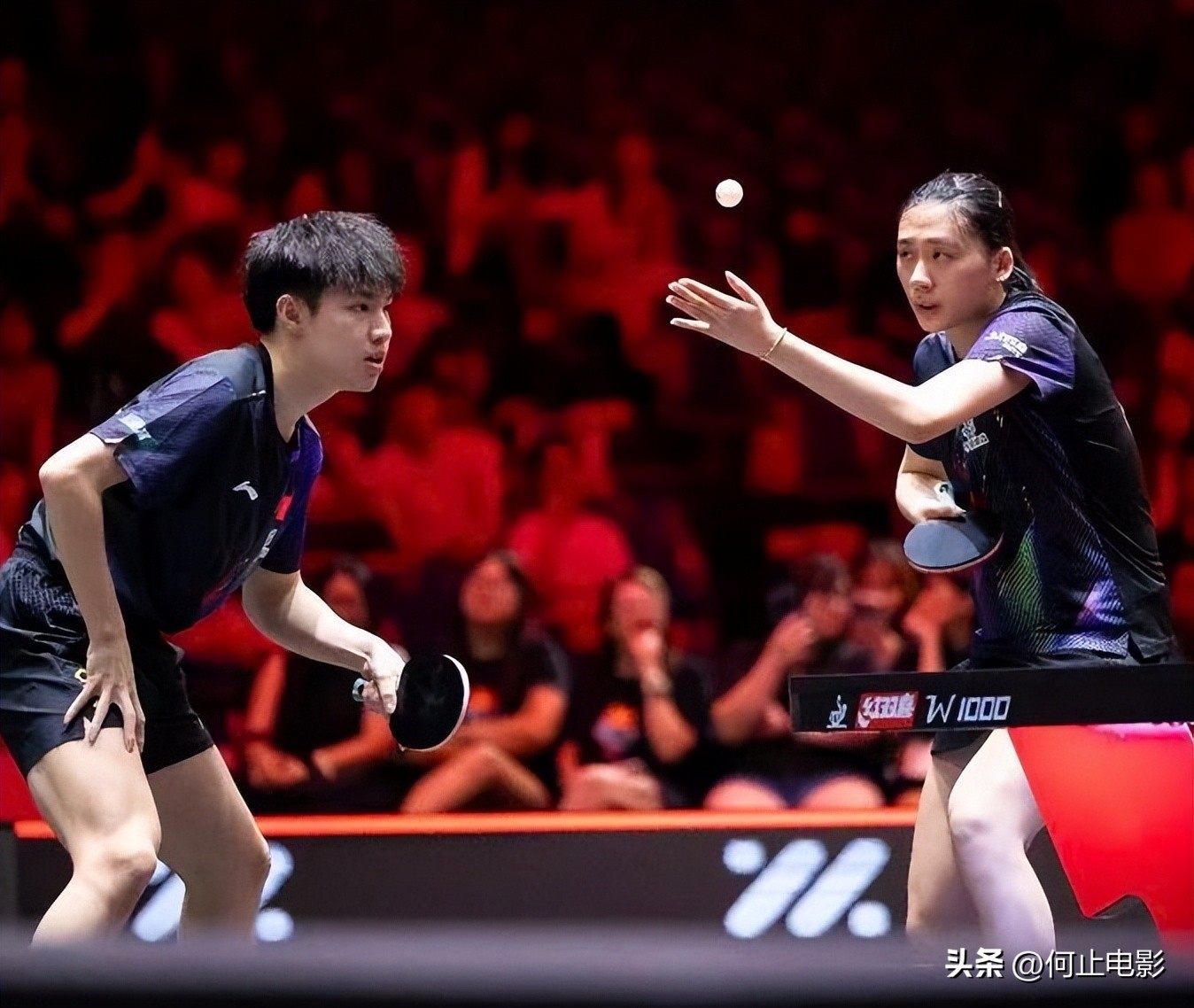 央媒公开点评！这次被罚黄牌的孙颖莎，竟因一特殊举动口碑暴涨__央媒公开点评！这次被罚黄牌的孙颖莎，竟因一特殊举动口碑暴涨