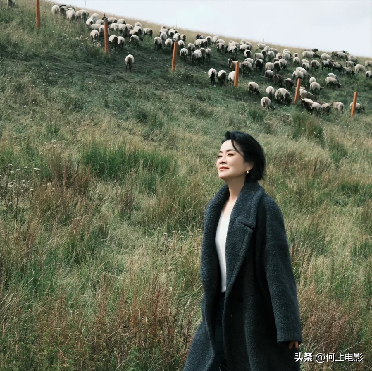 毛阿敏: 富豪丈夫去世后交出公司, 明智之举, 如今和儿女们过得安稳_毛阿敏: 富豪丈夫去世后交出公司, 明智之举, 如今和儿女们过得安稳_