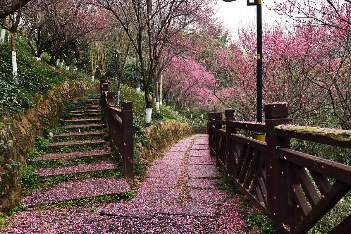 申请强制执行被告不执行怎么办_儿童手工非洲面具图片大全_