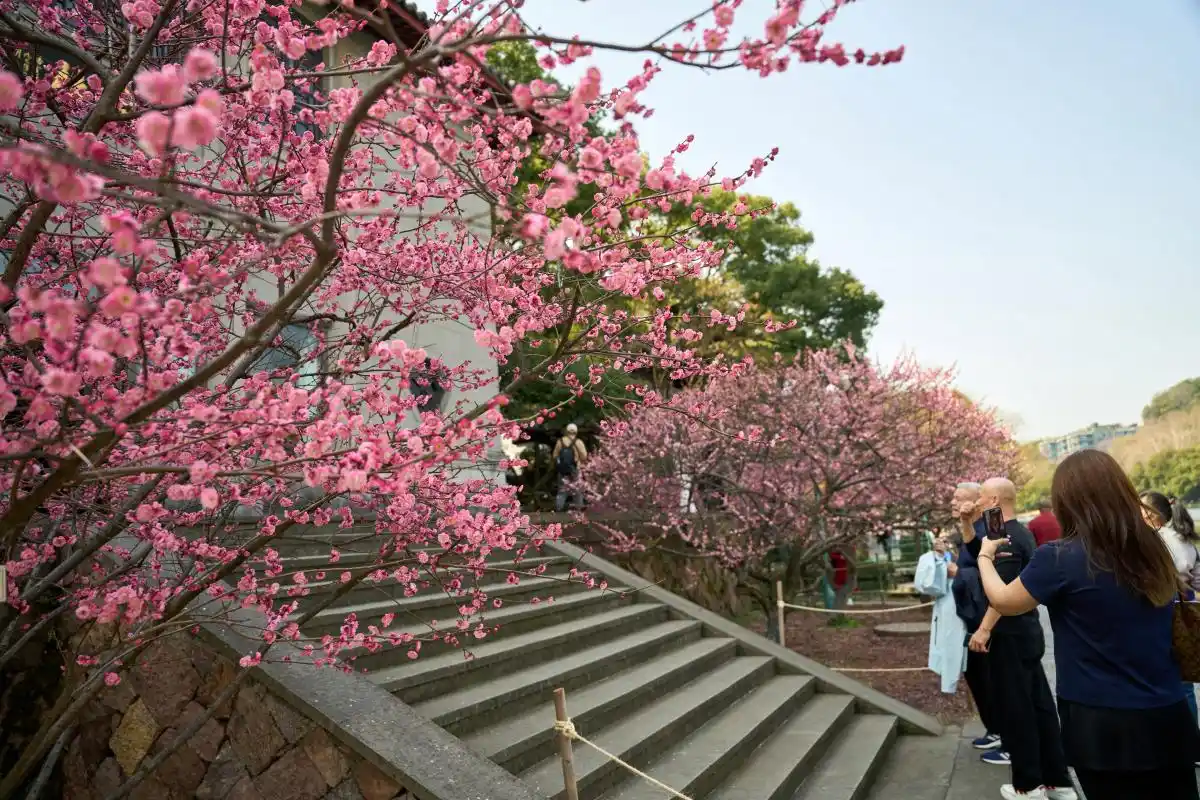 儿童手工非洲面具图片大全__申请强制执行被告不执行怎么办