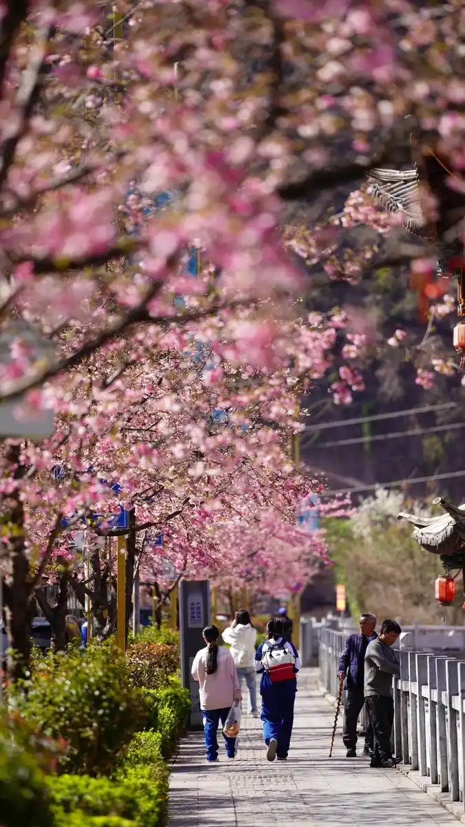 _申请强制执行被告不执行怎么办_儿童手工非洲面具图片大全