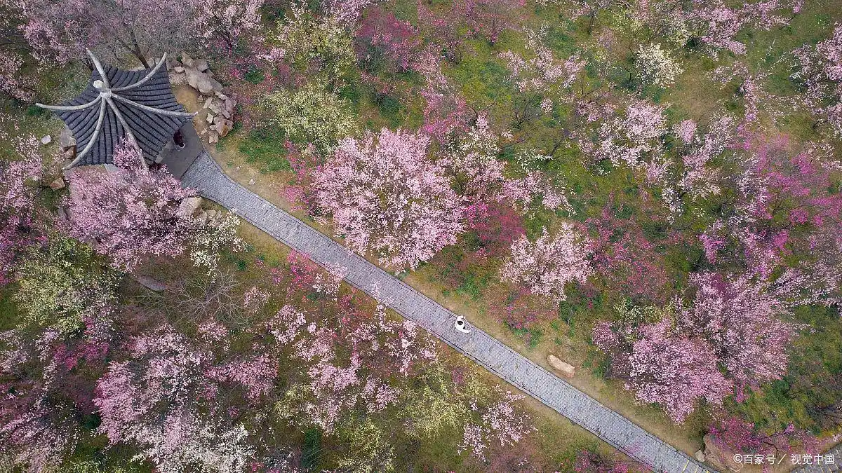 申请强制执行被告不执行怎么办__儿童手工非洲面具图片大全