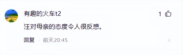 汪小菲母亲资料__汪小菲父子