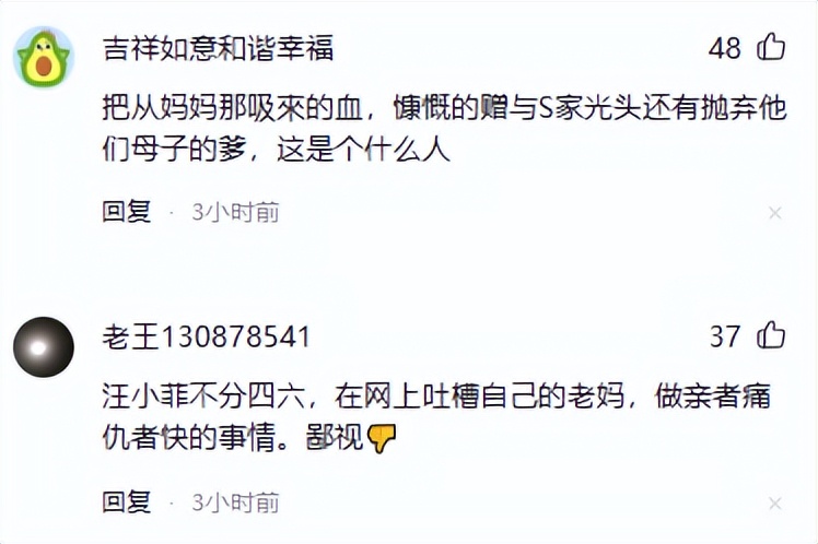 _汪小菲母亲资料_汪小菲父子