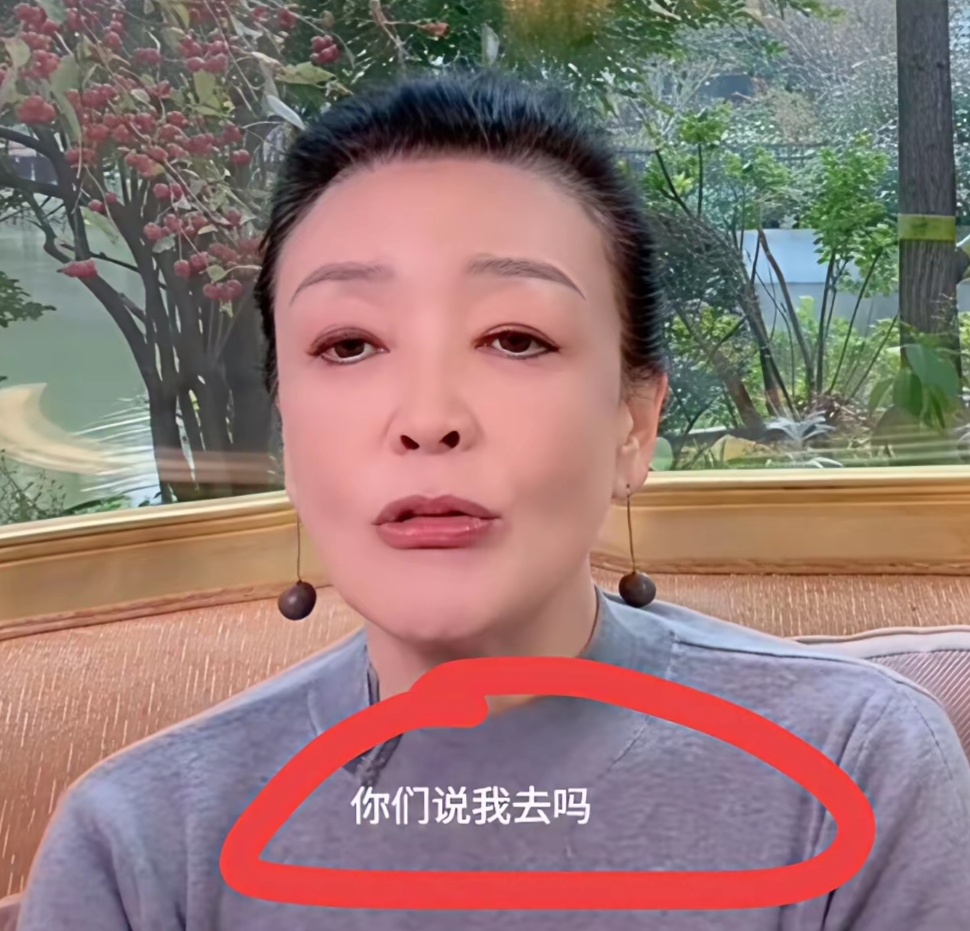 汪小菲母亲资料_汪小菲父子_