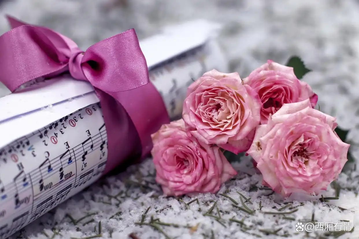 爱做去余生事值得长久吗_余生要做自己喜欢的事说说_