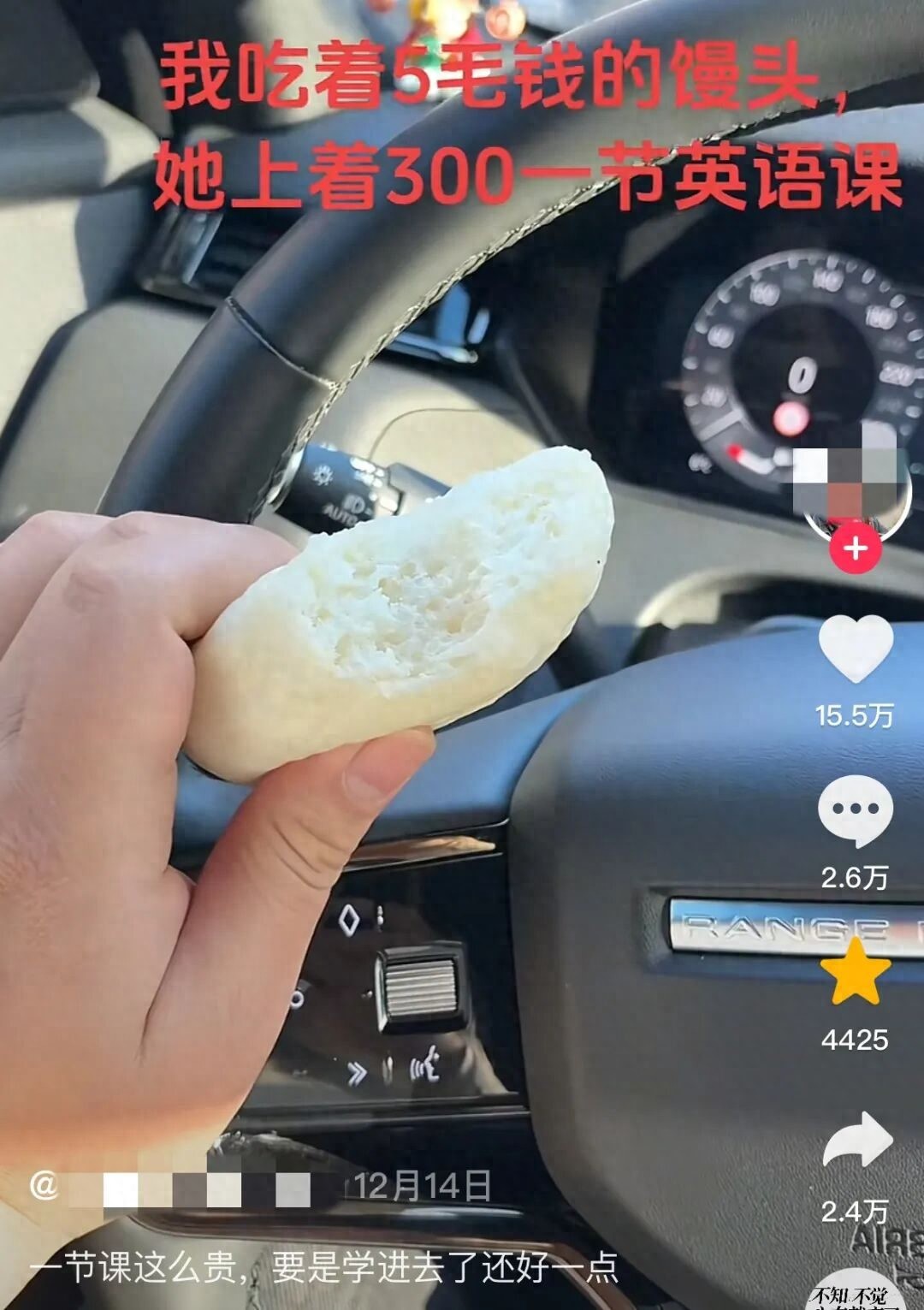 馒头培养细菌_馒头培养真菌和细菌图片_