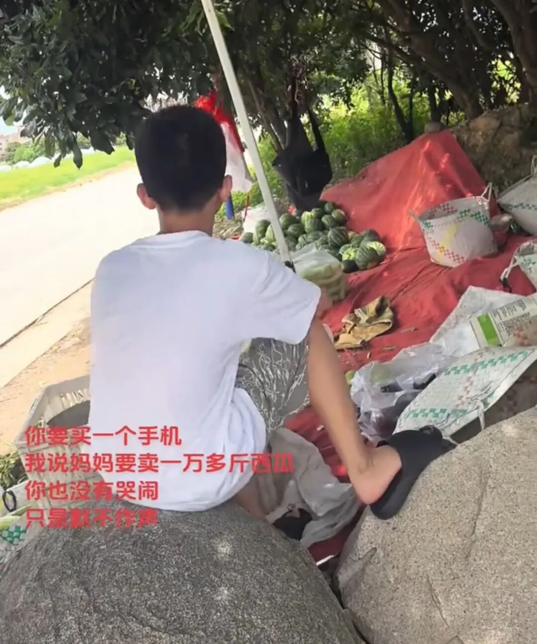 馒头培养细菌_馒头培养真菌和细菌图片_