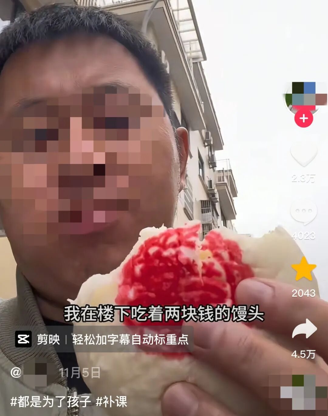 馒头培养细菌__馒头培养真菌和细菌图片