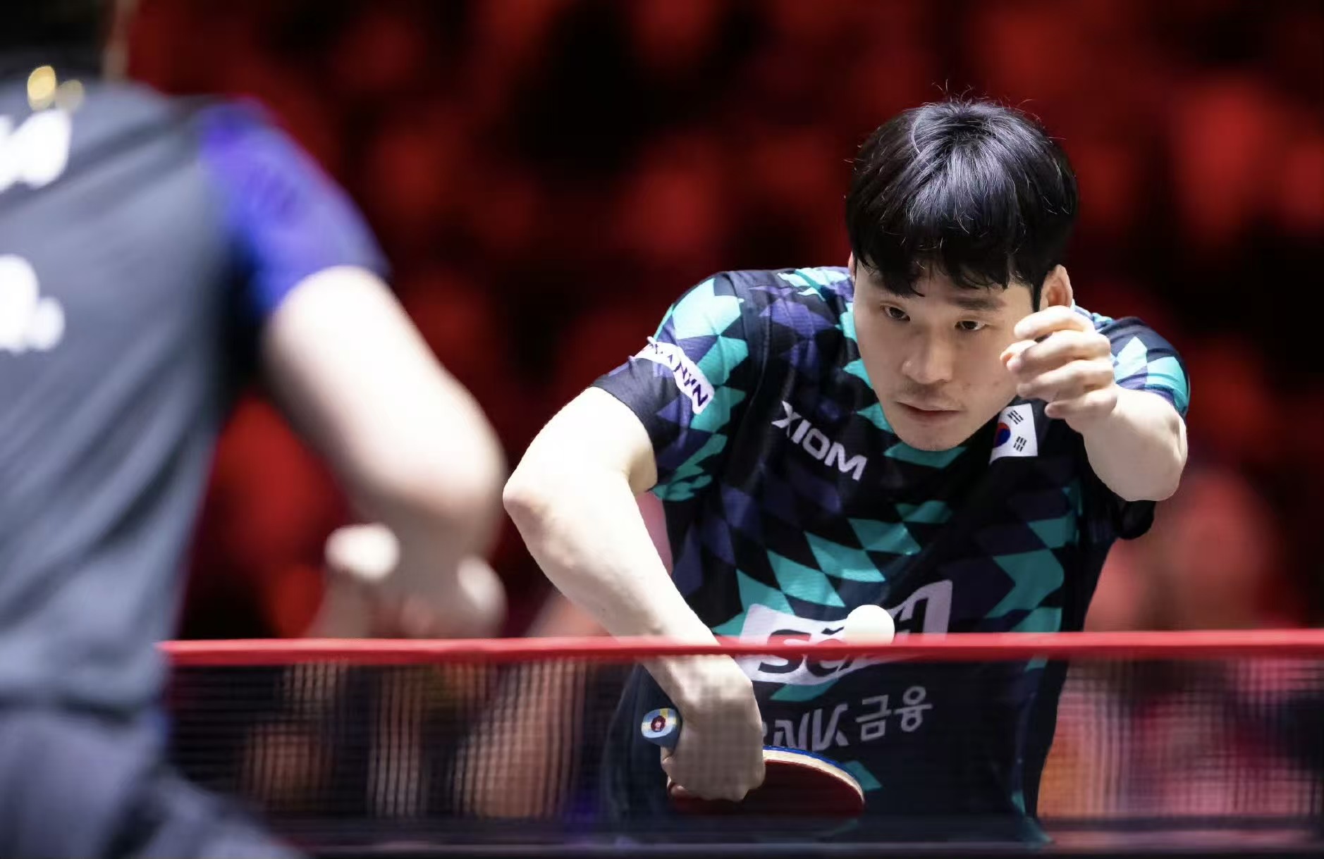 全国男单冠军__中国男单全军覆没