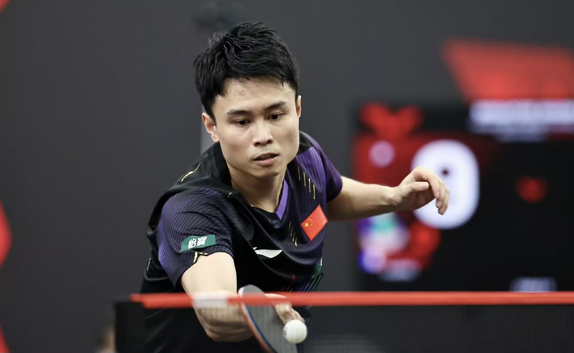 中国男单全军覆没_全国男单冠军_