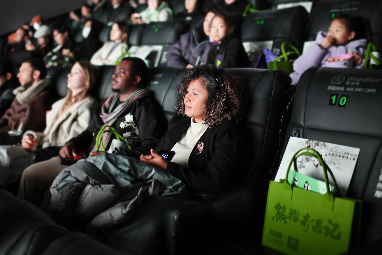 熊猫奇遇视频_熊猫京京历险记动画片_