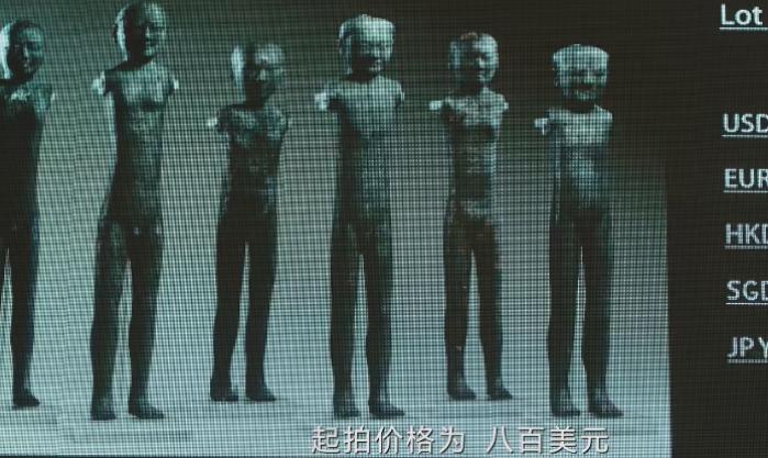 _央视《护宝寻踪》收视全国第一,打了多少资方的脸,富大龙赌对了_央视《护宝寻踪》收视全国第一,打了多少资方的脸,富大龙赌对了