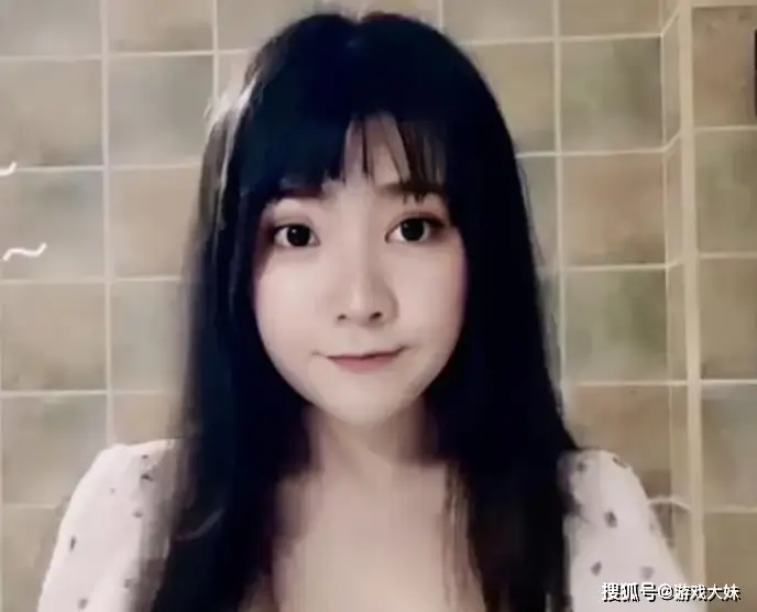 _贵宾团总裁个人资料_宝贝星球突破宠物数量