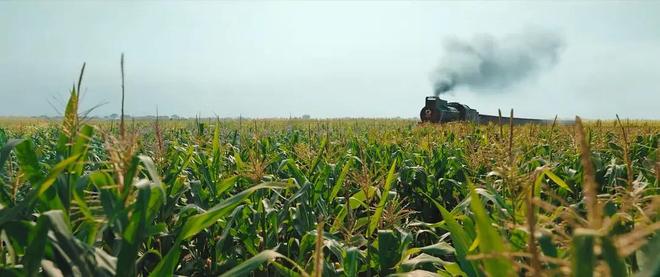 _当年代剧只剩爱情与日常，我们究竟还在看什么？_当年代剧只剩爱情与日常，我们究竟还在看什么？